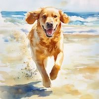 キャンバス風絵画,両面プリントアート,浜辺を走るゴールデンレトリバー